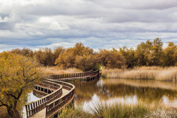 Parque Nacional Tablas Daimiel Sensaci N Rural